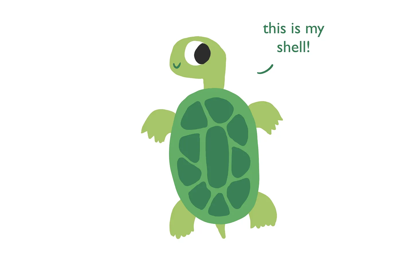 [Drawing of a turtle]